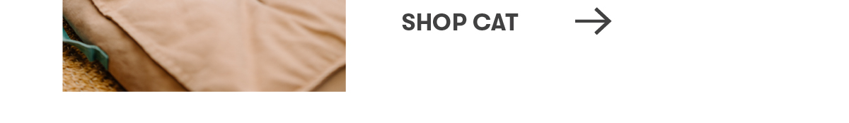 Shop Cat Supplies & Gear