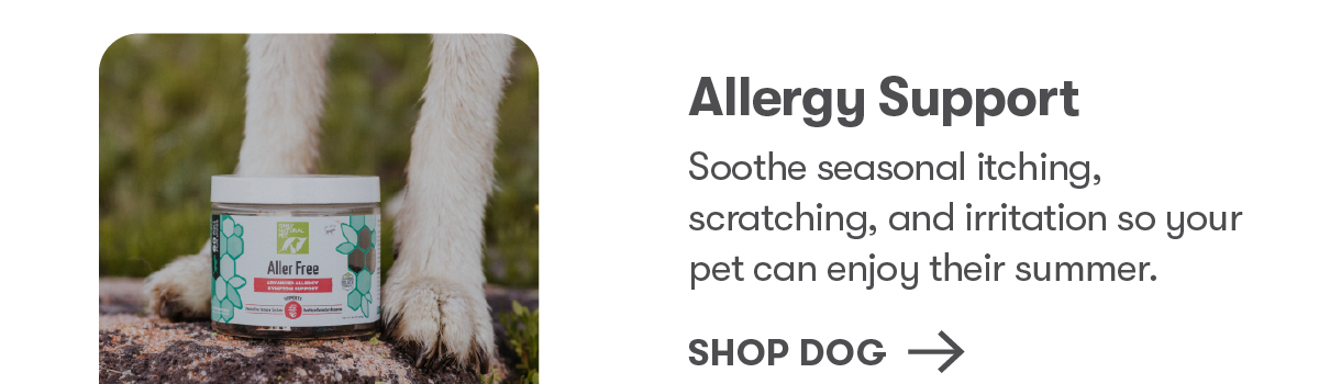 Shop Dog Allergy Support