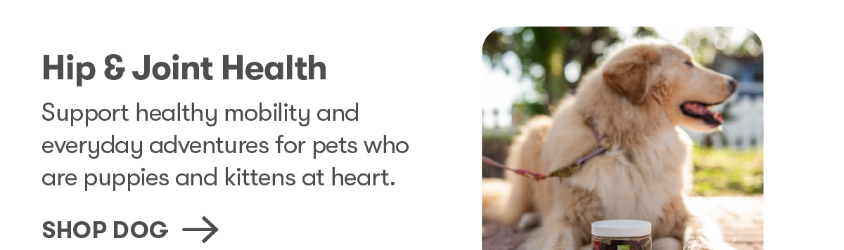 Shop Dog Hip & Joint Health