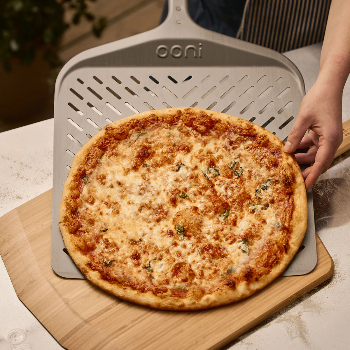 A margherita pizza sliding off an Ooni Signature Peel