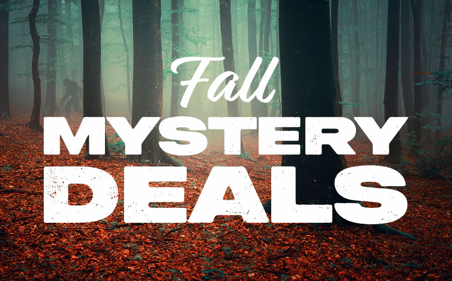 Fall Mystery Deals