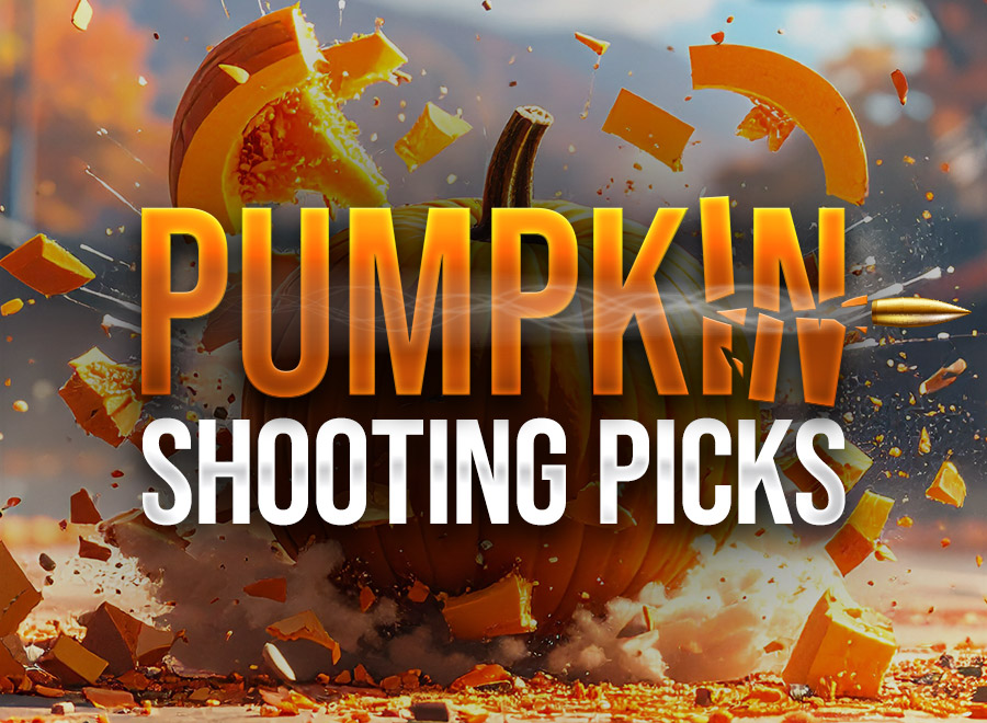 Pumpkin Shooting Picks