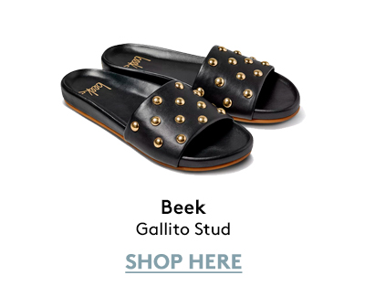 Gallito Stud