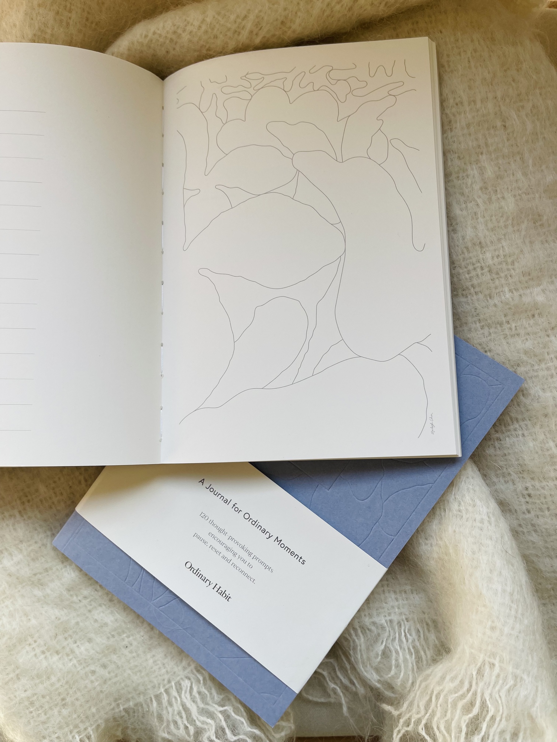 Ordinary Habit Journal