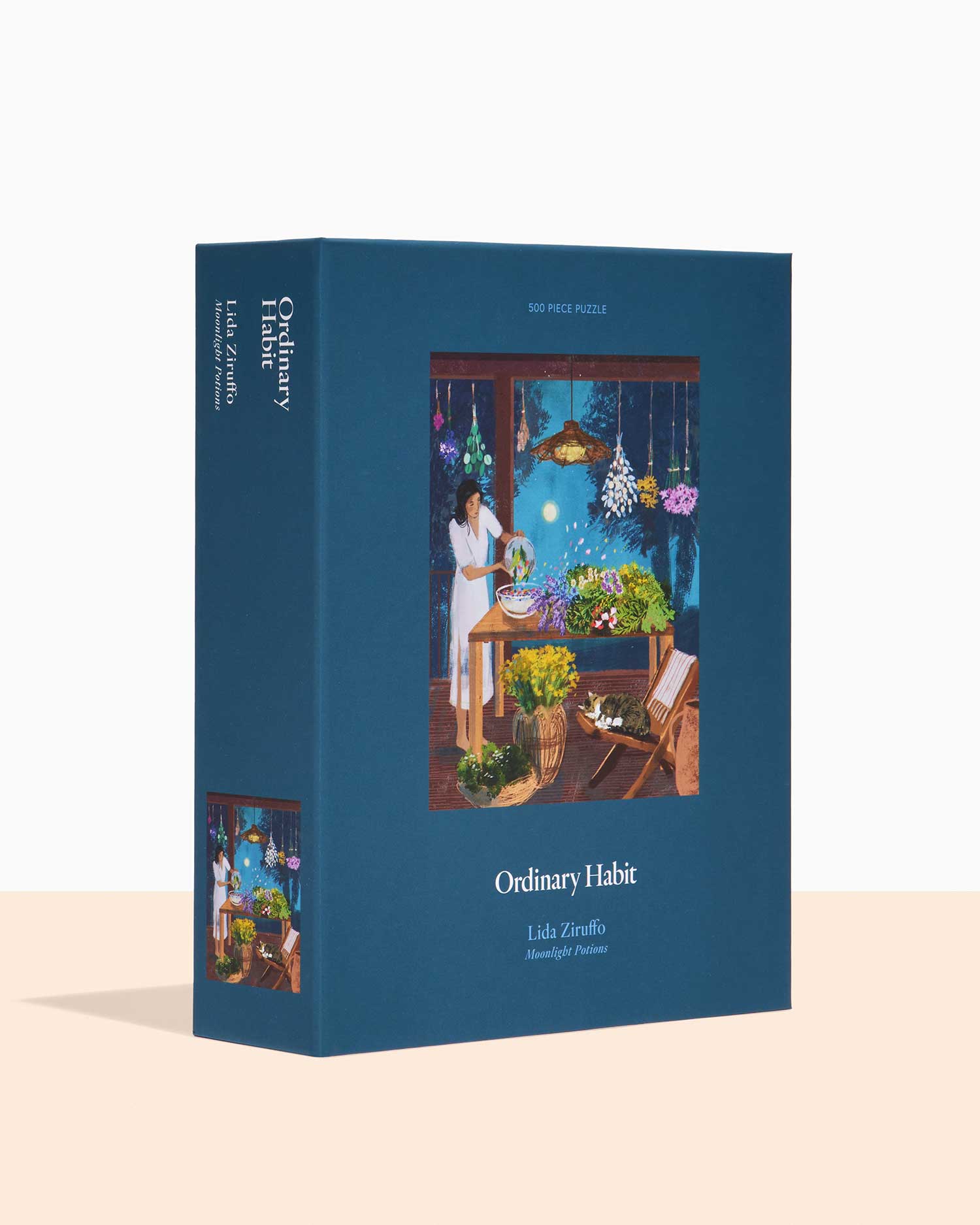 Image of Moonlight Potions Puzzle by Lida Ziruffo