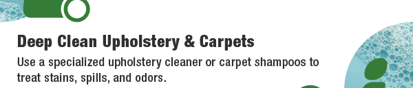 Deep Clean Upholstery & Carpets - Use a specialized upholstery cleaner or carpet shampoos to treat stains, spills, and odors.