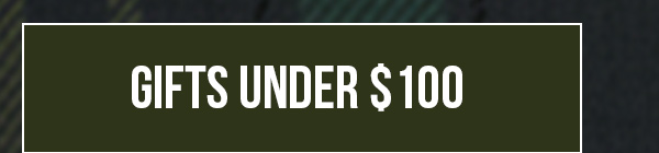 Gifts under $100