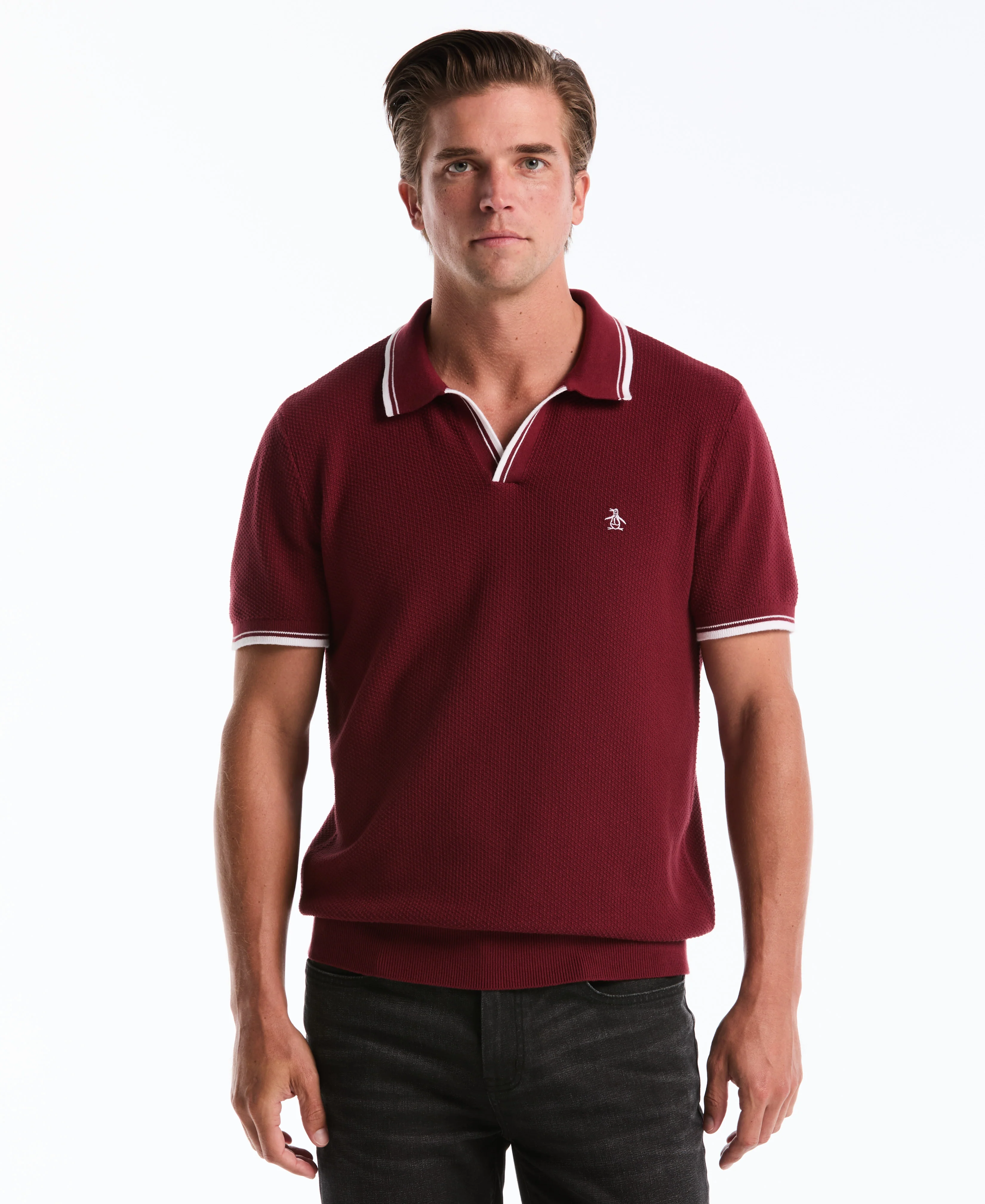 Image of Textured Johnny Collar Sweater Polo