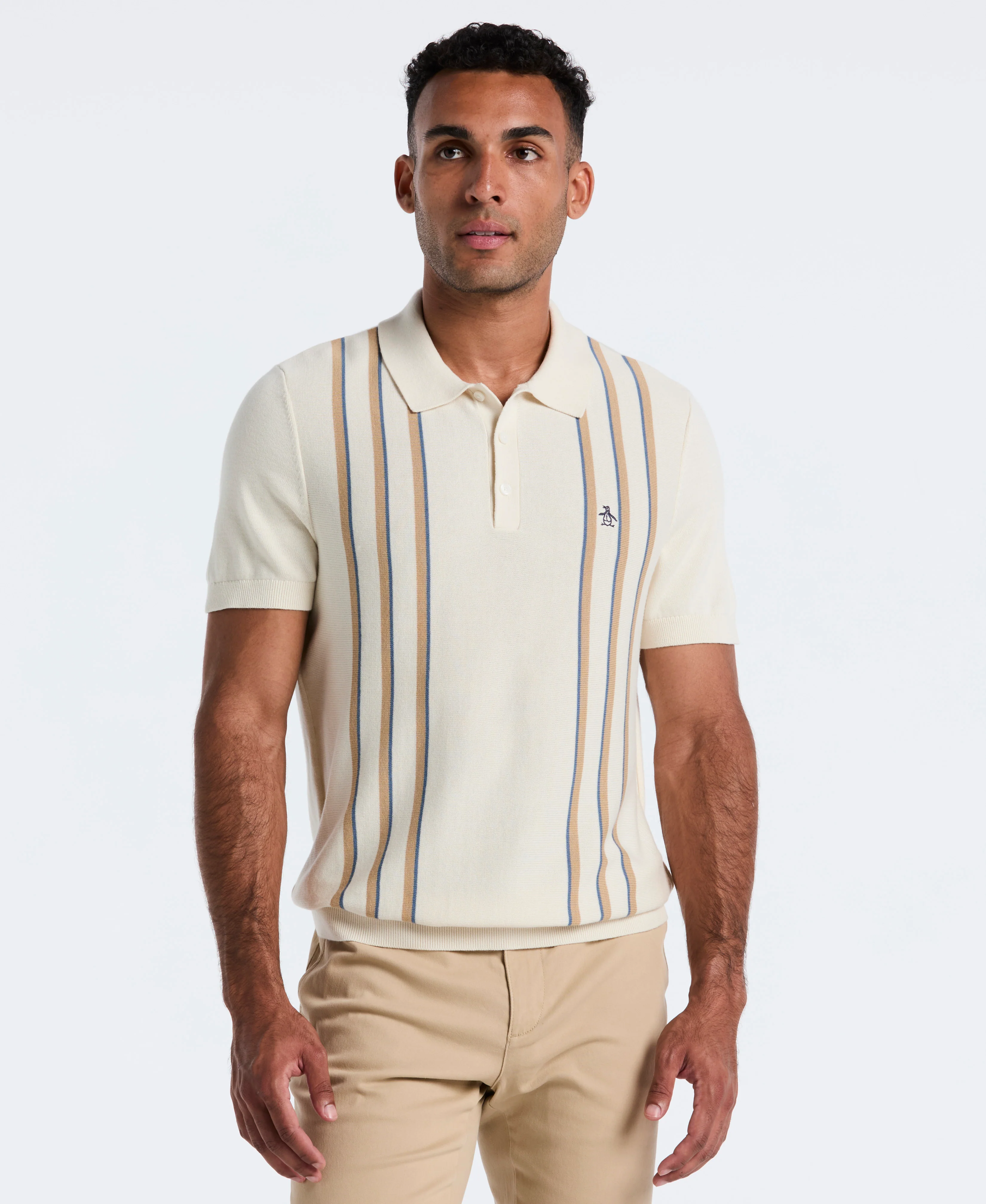 Image of Vertical Stripe Sweater Polo