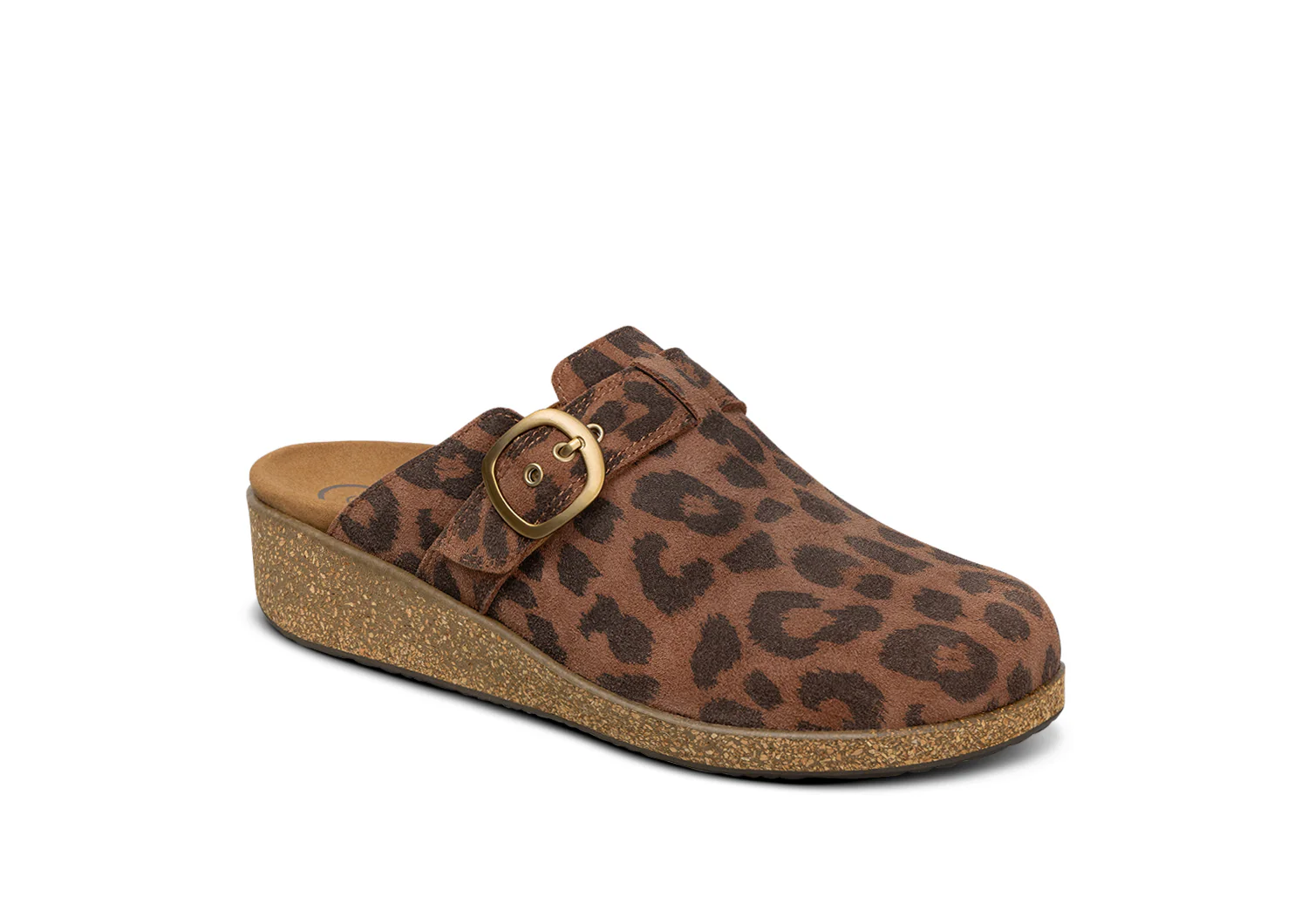 Image of Casey - Leopard