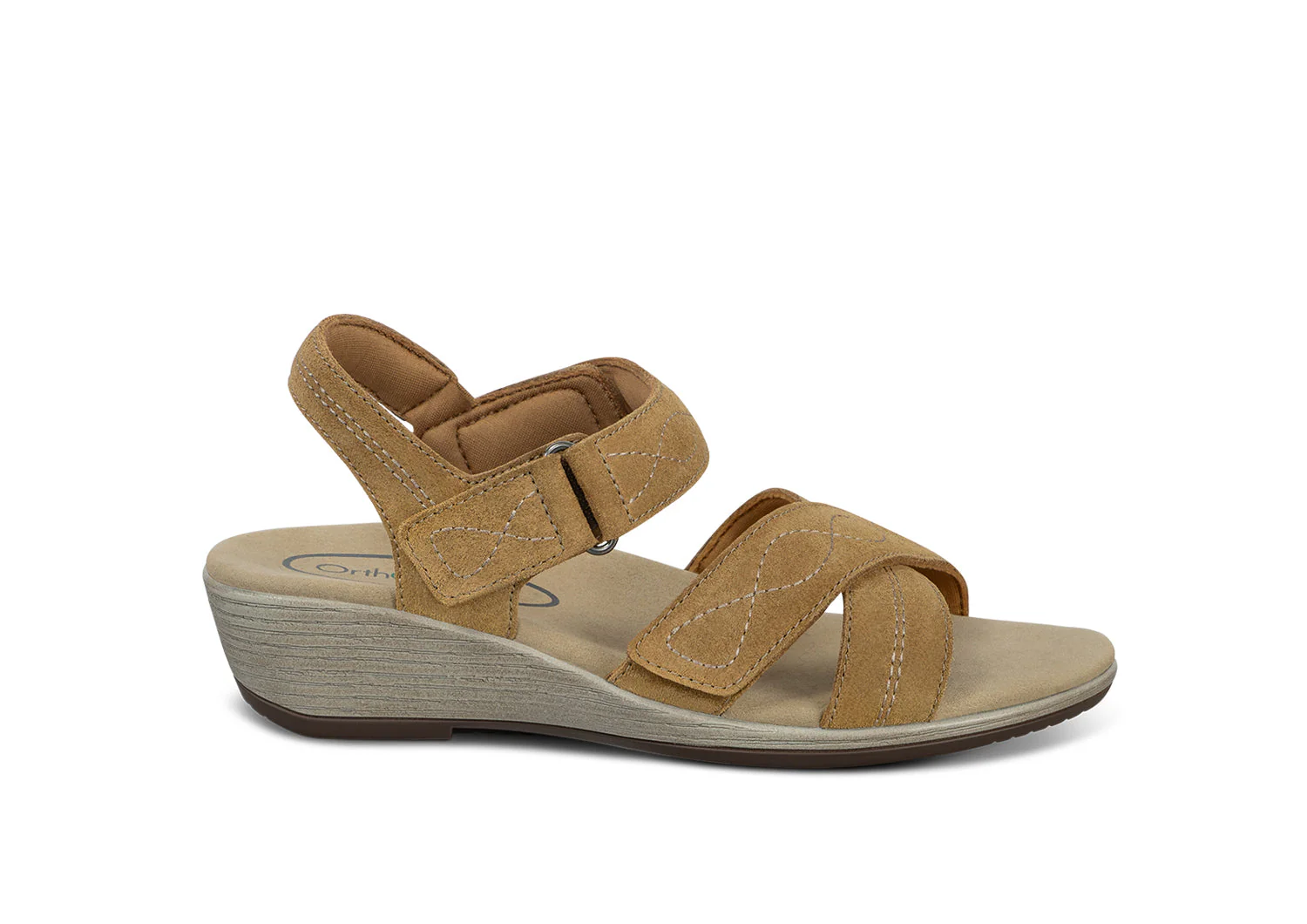 Image of Holly - Camel
