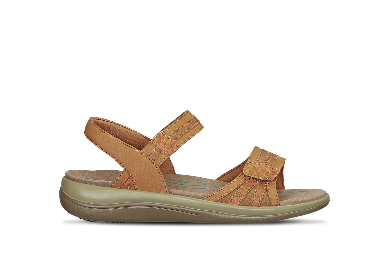 Image of Paloma - Camel