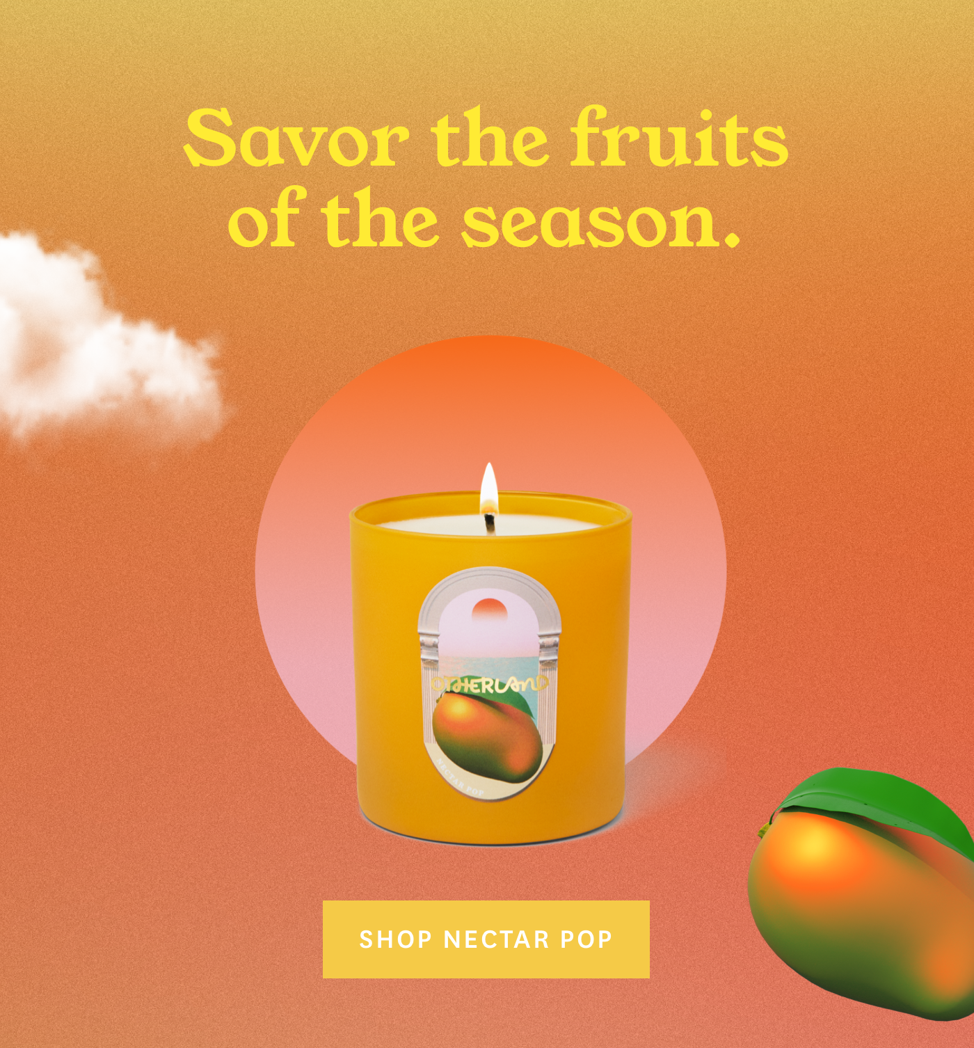 Savor the fruits of the season 