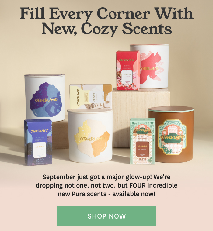 Fill Every Corner With New Cozy Scents