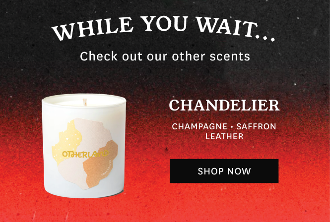 Shop Chandelier While You Wait...