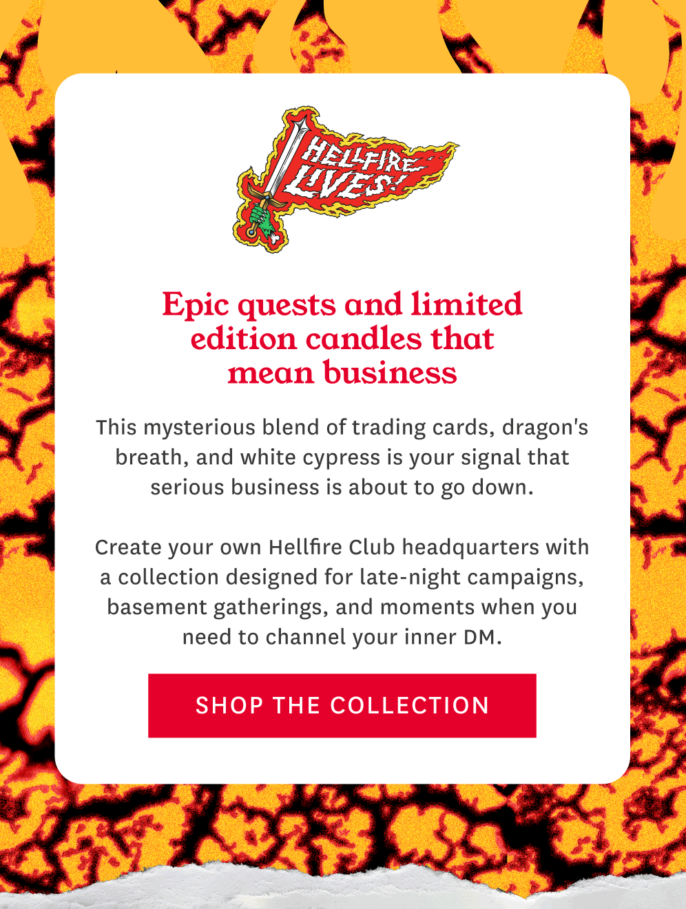 Shop The Collection