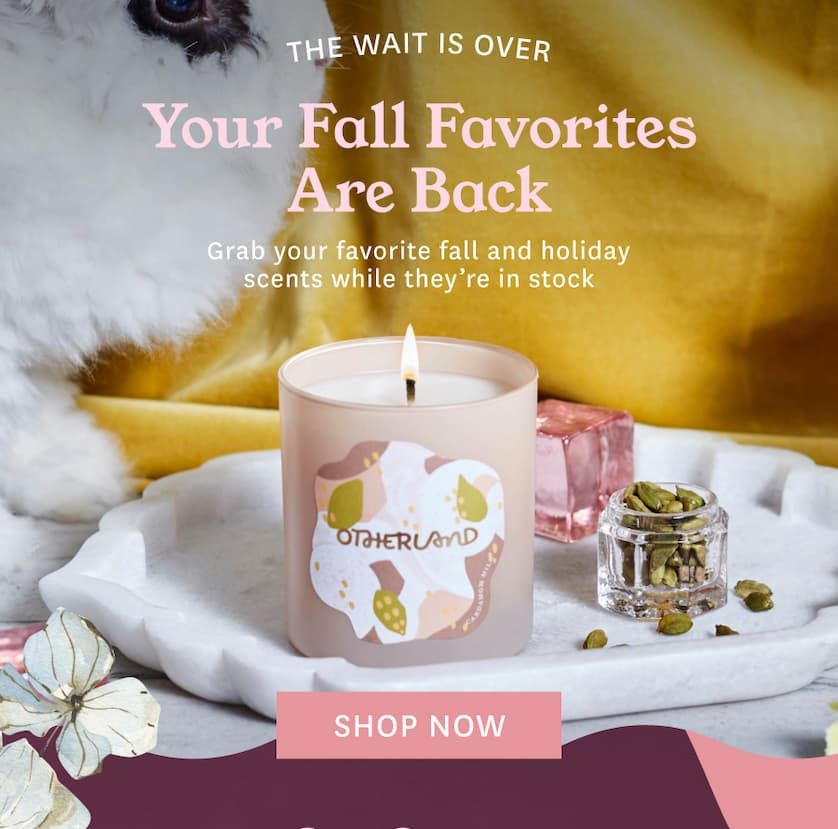 Your Fall Favorites Are Back!