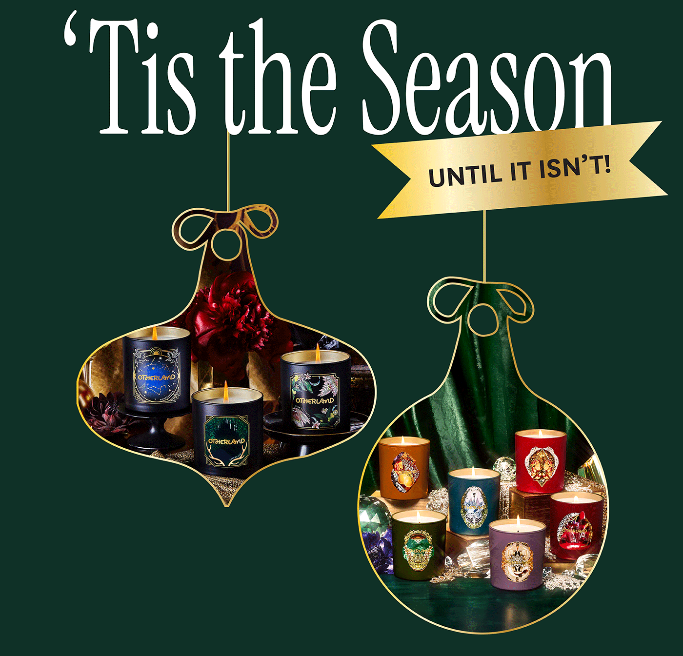 Tis the season, until it isn't! 