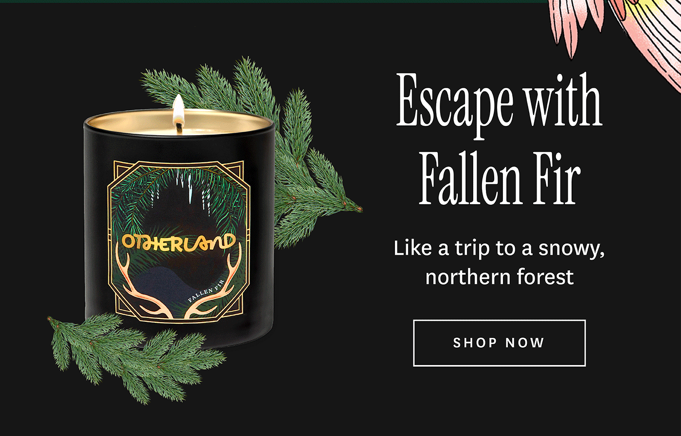 Escape with Fallen Fir