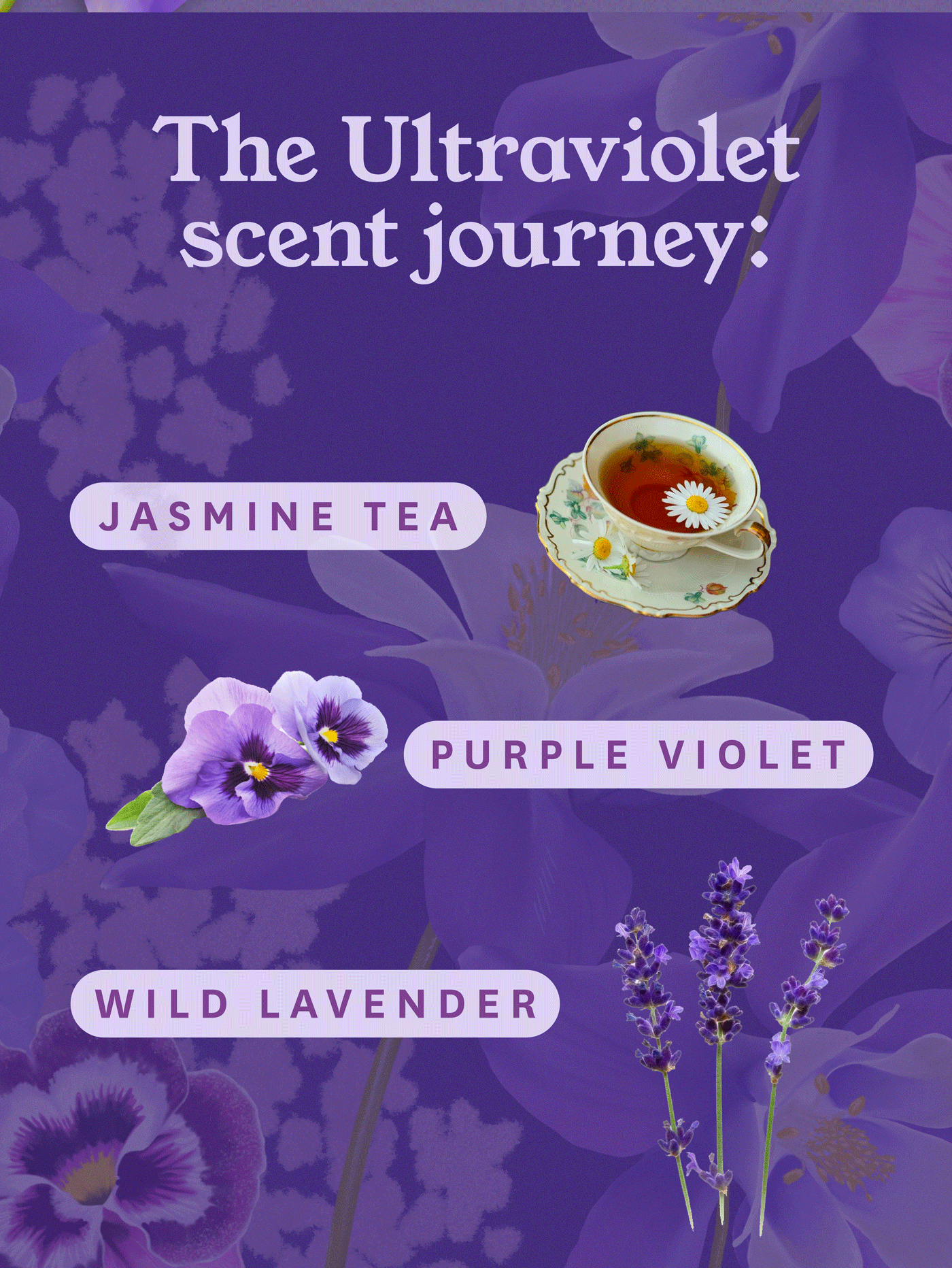 The Ultraviolet scent journey