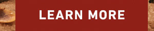 LEARN MORE
