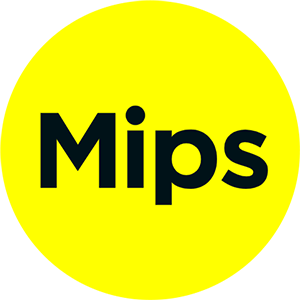 mips-bike-helmet-gem