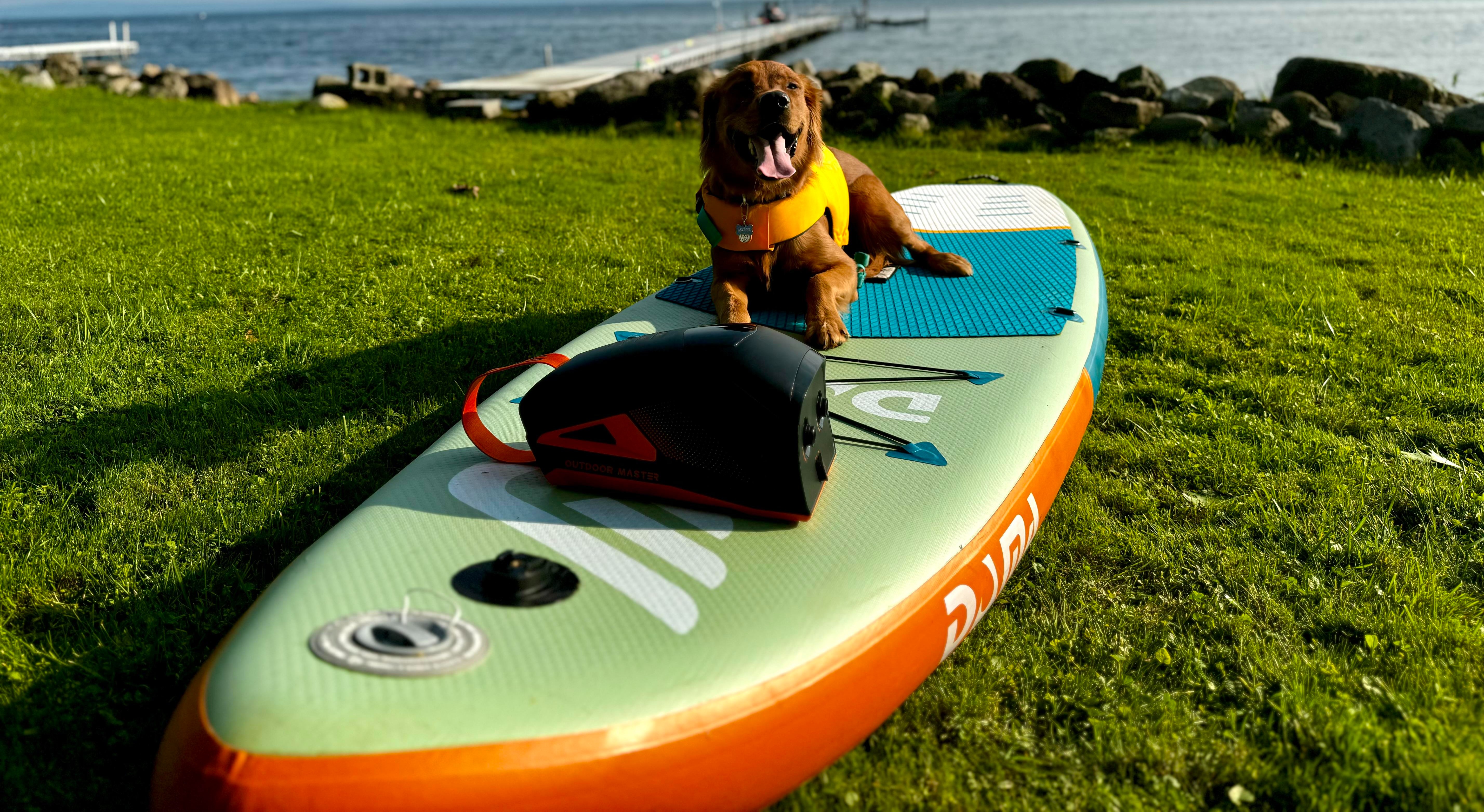 SHARK 3 Rechargeable Electric Sup Pump