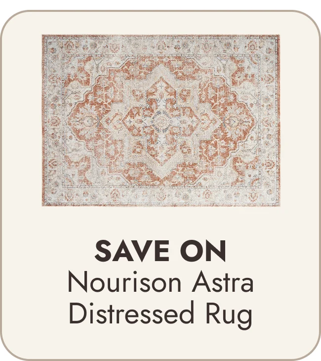 Nourison Astra Machine Washable Distressed Area Rug