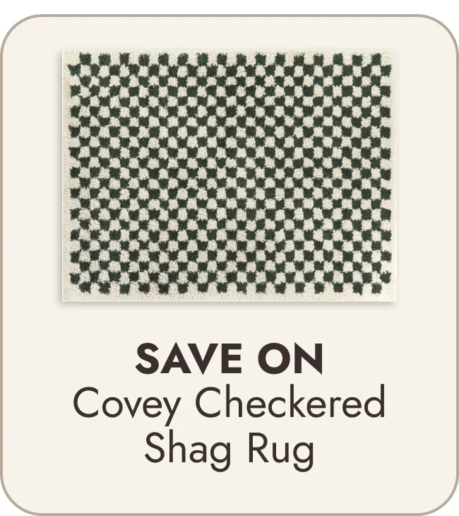 Covey Plush Checkered Thick Shag Area Rug