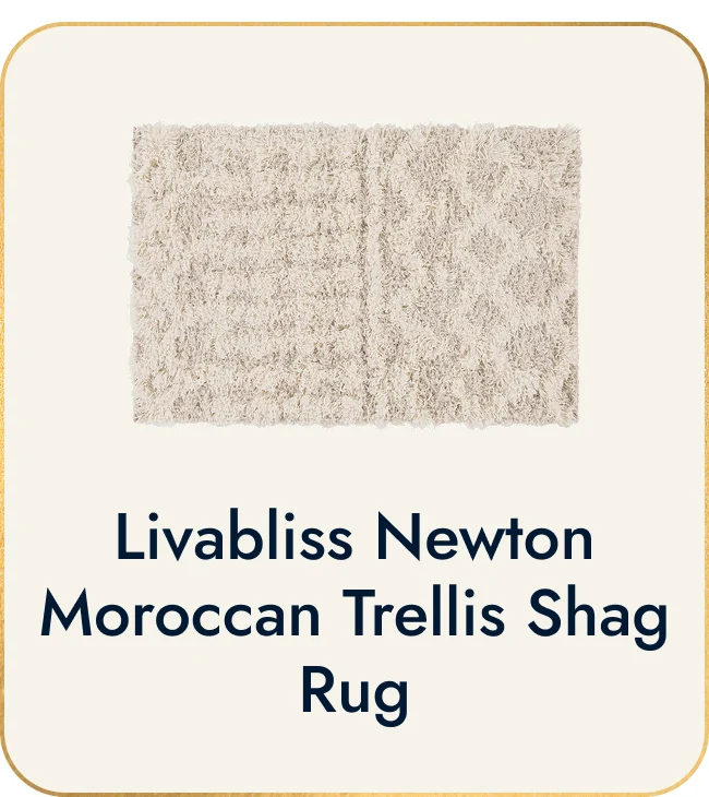 Livabliss Newton Geometric Moroccan Trellis Shag Area Rug