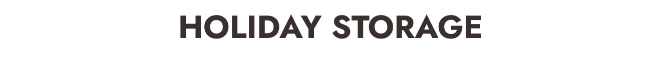 Holiday storage