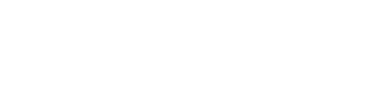 P448 x Ray's