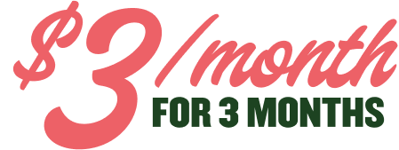$3/month for 3 months