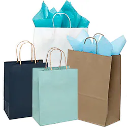 Paper Handle Bags