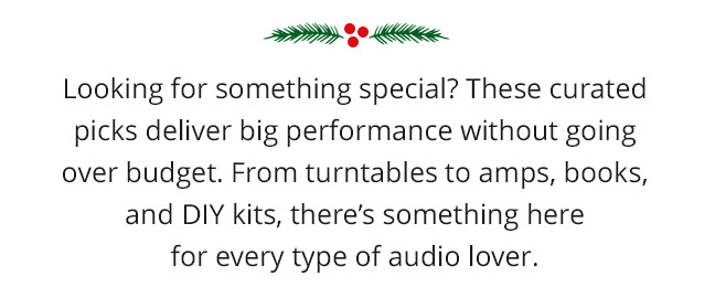 Looking for something special? These curated picks deliver big performance without going over budget. From turntables to amps, books, and DIY kits, there’s something here for every type of audio lover.