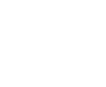 Ironclad Guarantee icon