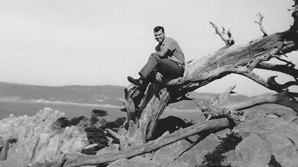 An old photo of a person sitting on a tree stump.