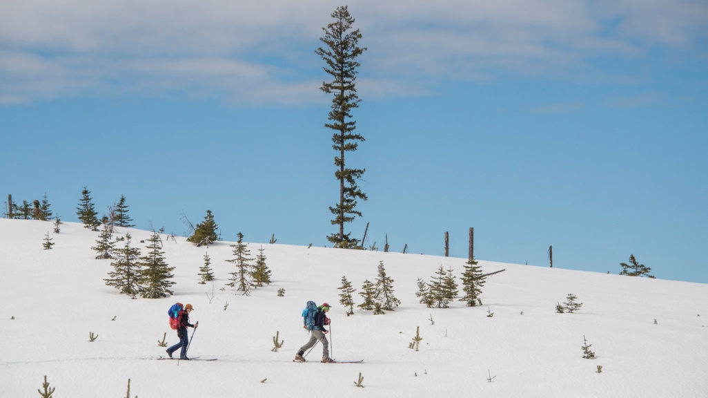Two people hike across a snowy landscape on skis.