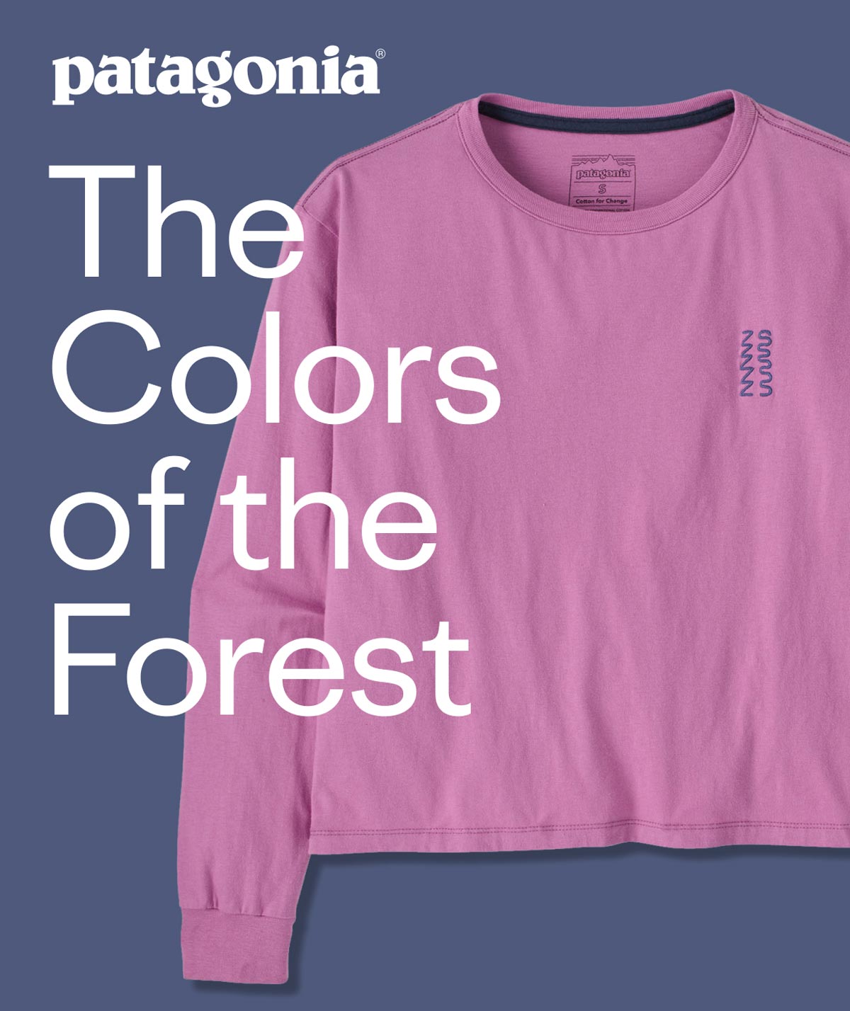Patagonia. The Colors of the Forest.