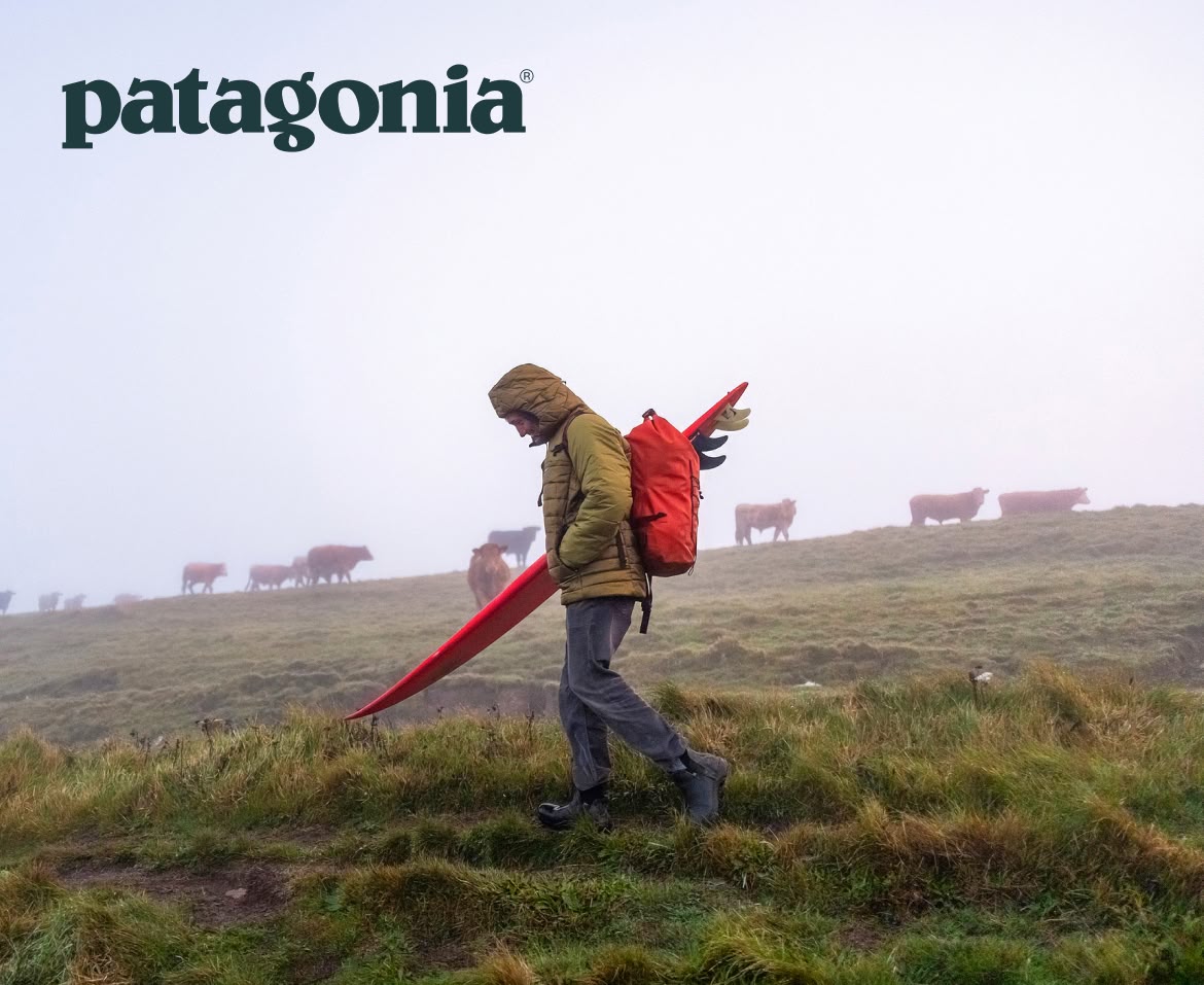 Patagonia. A person walks across a foggy field with a surfboard underarm.