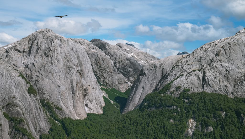 A condor flies high above a lush green valley with towering rock walls. 