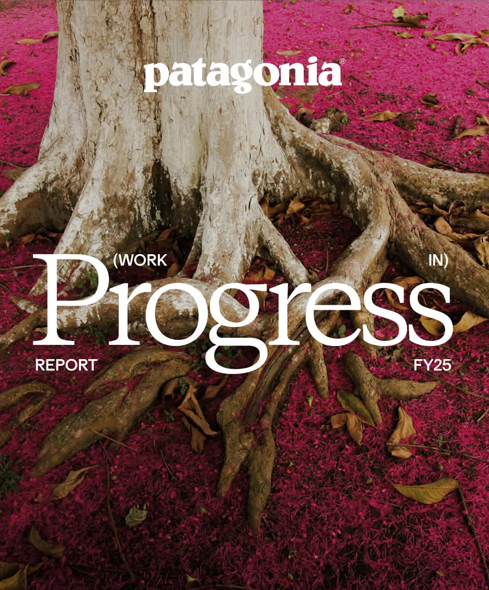 The roots of a tree covered in magenta flowers.