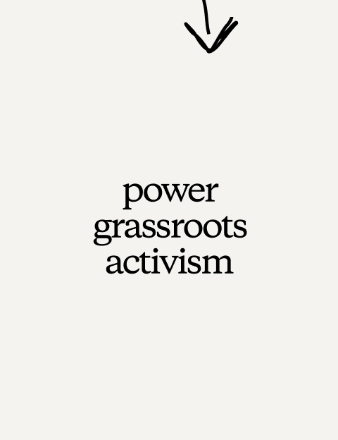 power grassroots activism