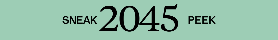 Sneak 2045 Peek