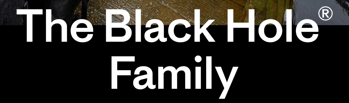 The Black Hole Family