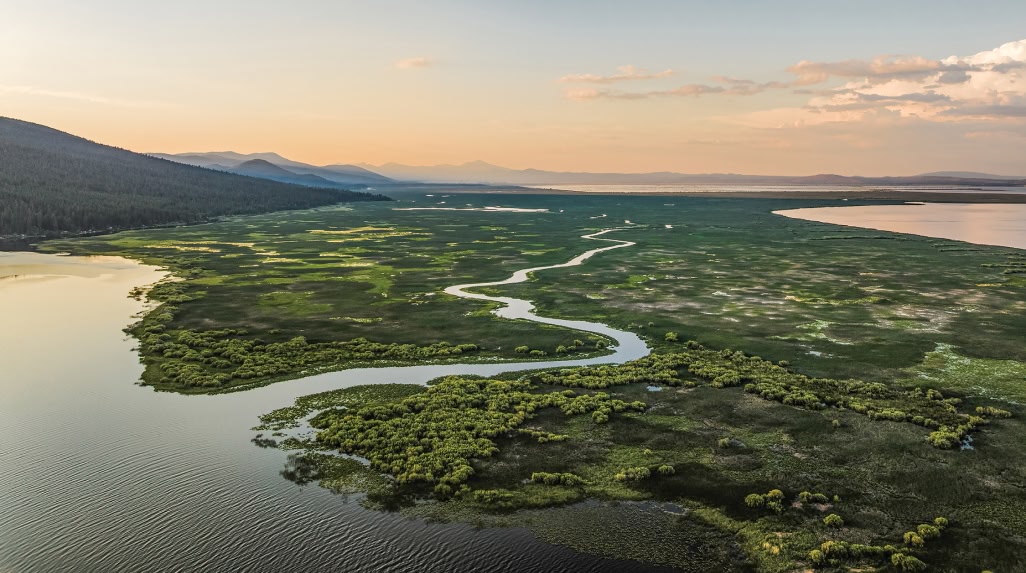 A creek meanders through a wetland by the ocean.
