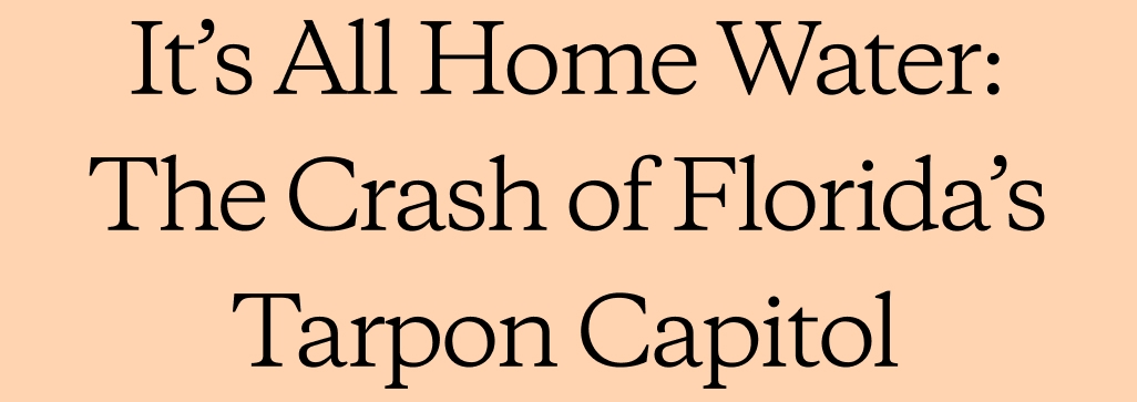 It’s All Home Water: The Crash of Florida’s Tarpon Capitol