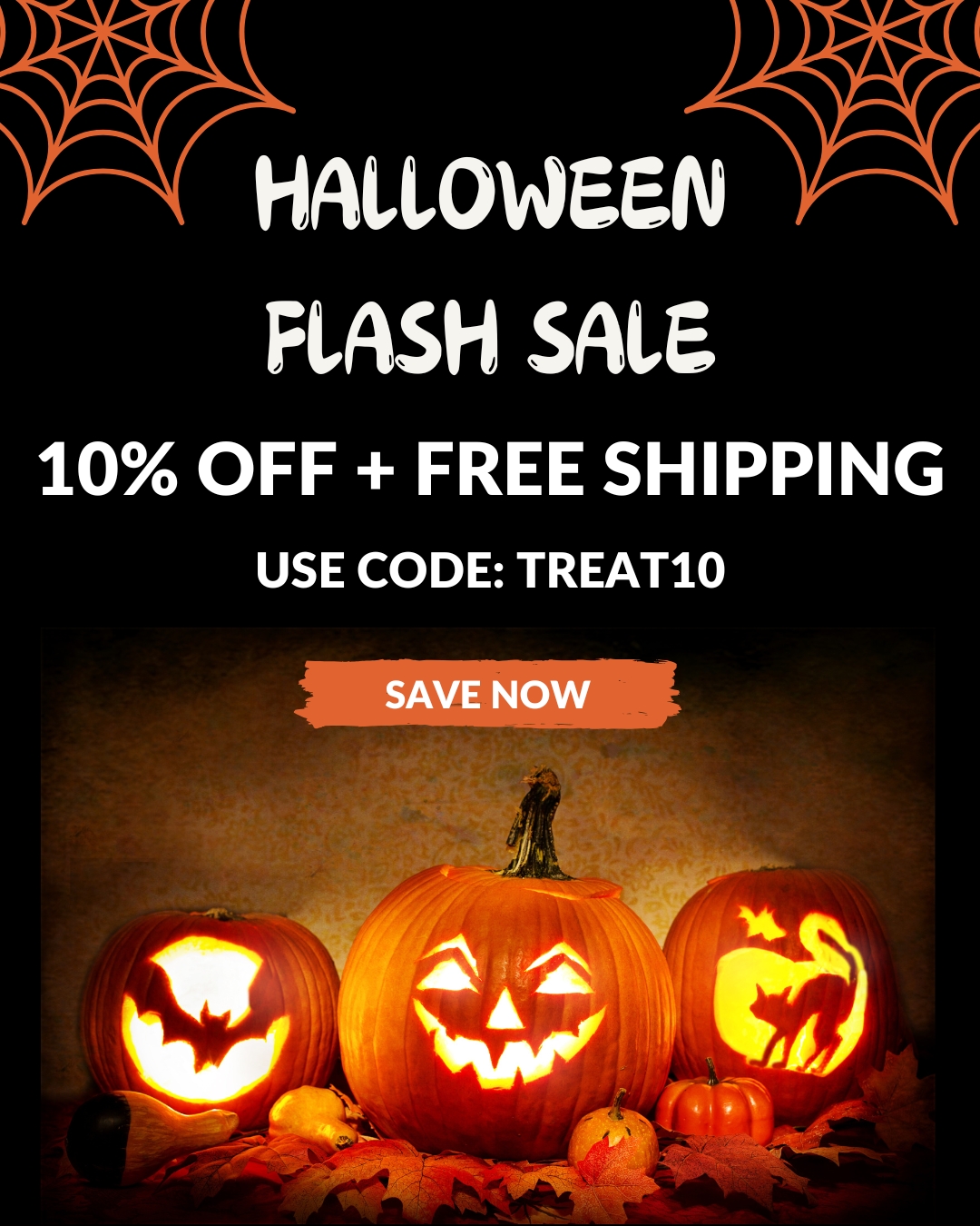 Save 10% + Free Shipping