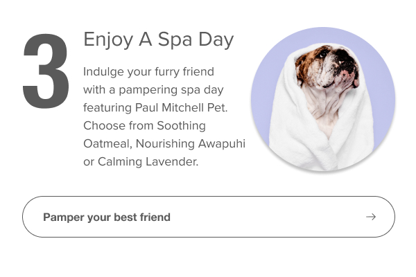 Pamper your best friend