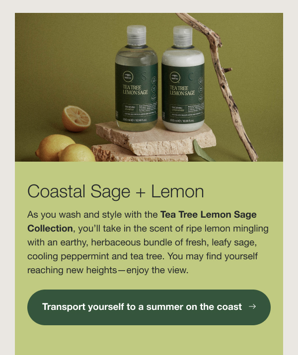 Coastal Sage + Lemon: Transport yourself to a summer on the coast